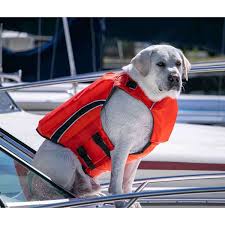Pet Life Jackets